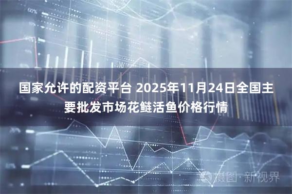 国家允许的配资平台 2025年11月24日全国主要批发市场花鲢活鱼价格行情